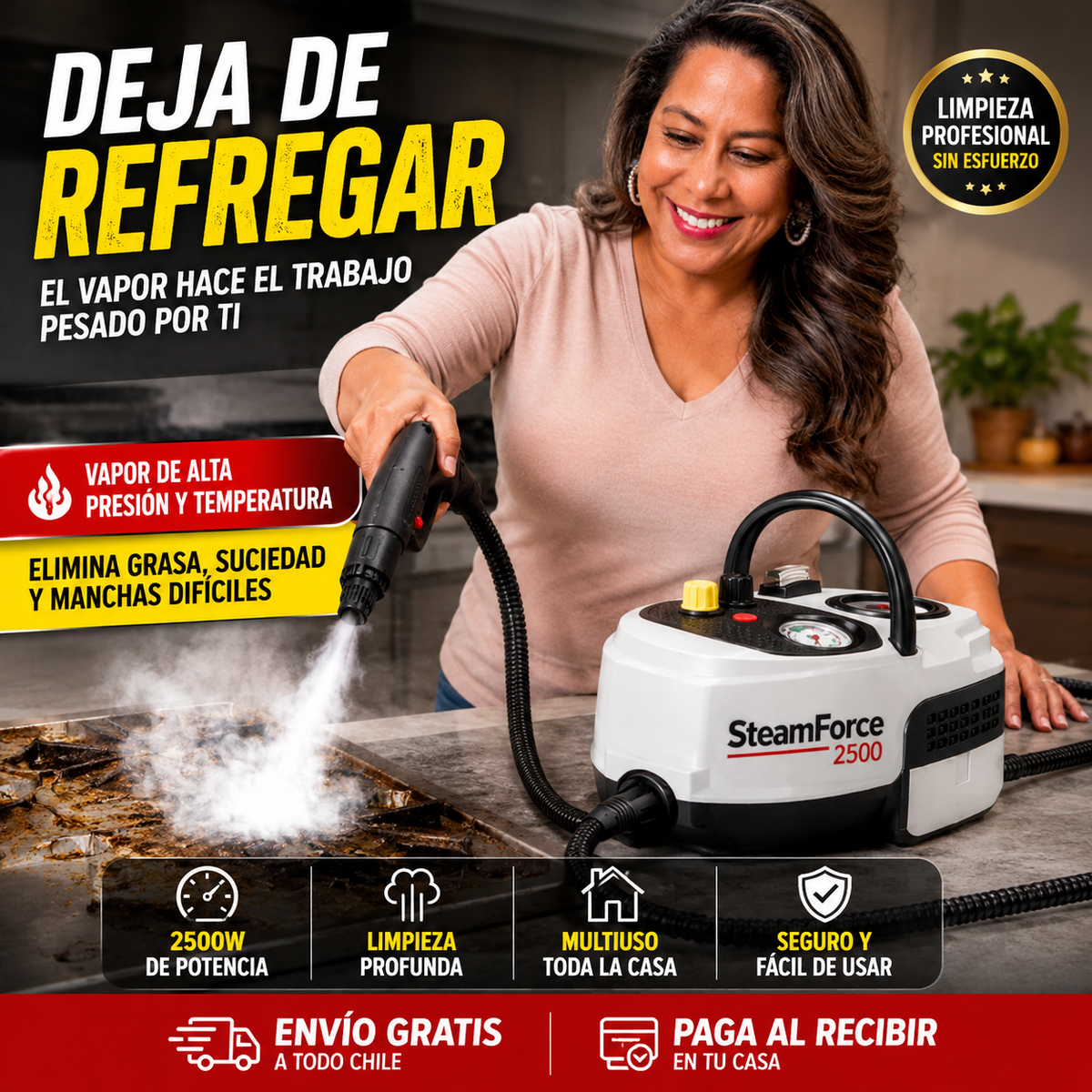 Limpiador A Vapor Presion 2500w Portatil